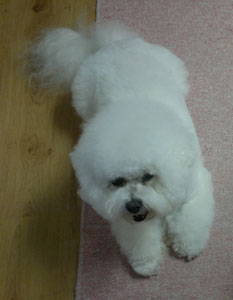 Minni