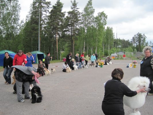 ryhmiä