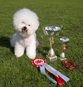 Sakke BEST IN SHOW 1 !!